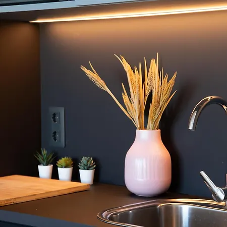 Apartamento Atenea Living *